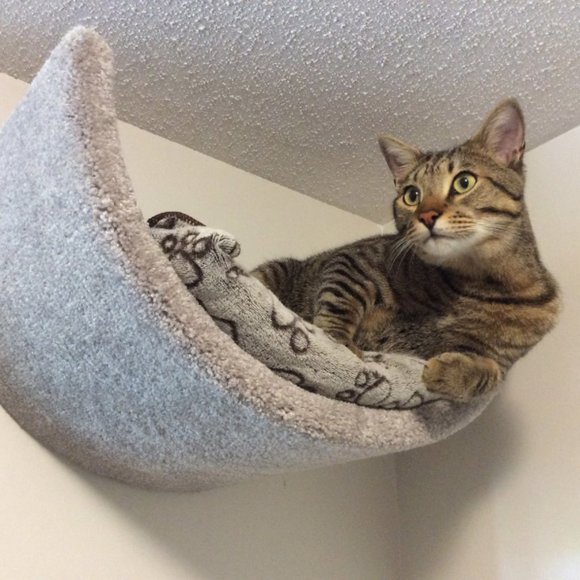 New Wall mounted cat bed - Picture 11 of 16